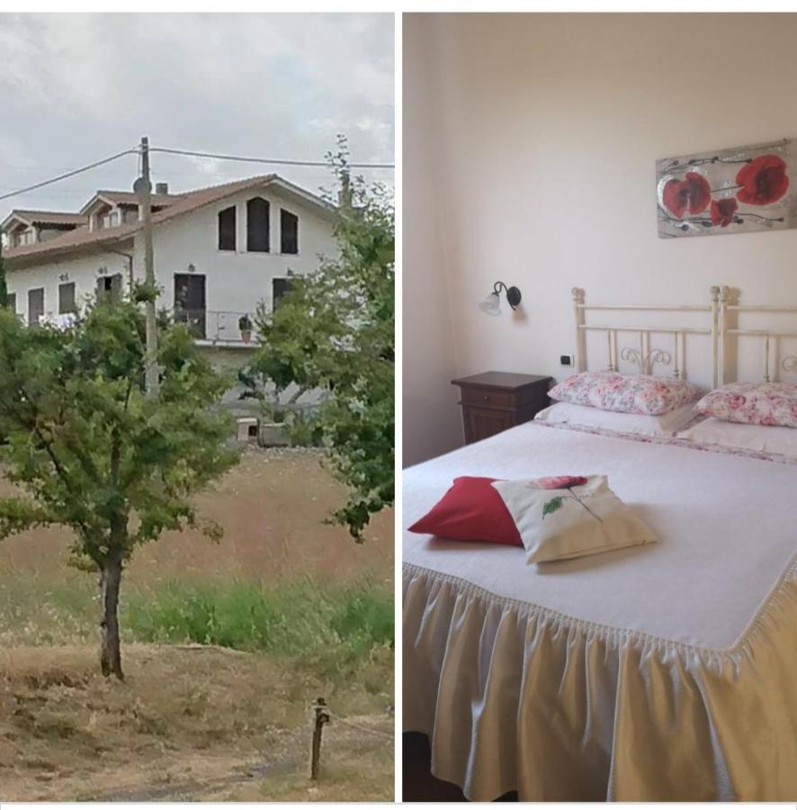 Affittacamere Alba Fiorita กัสตีลีโยเน ดิ ออร์ชา ภายนอก รูปภาพ