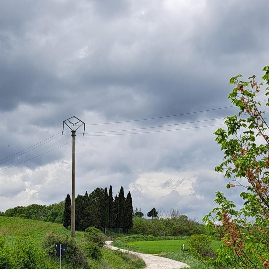 Affittacamere Alba Fiorita กัสตีลีโยเน ดิ ออร์ชา ภายนอก รูปภาพ