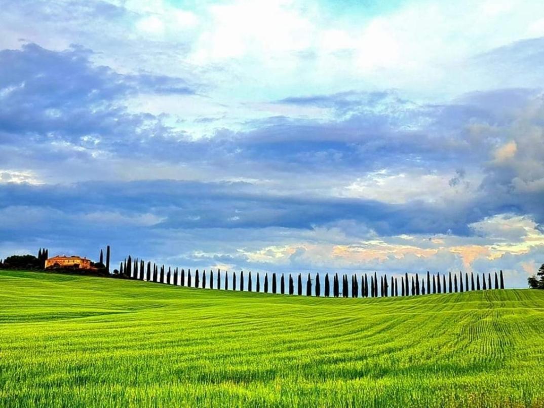 Affittacamere Alba Fiorita กัสตีลีโยเน ดิ ออร์ชา ภายนอก รูปภาพ