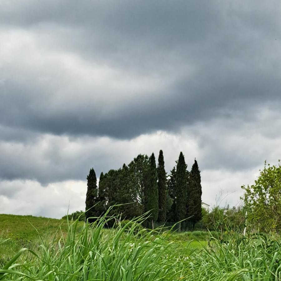 Affittacamere Alba Fiorita กัสตีลีโยเน ดิ ออร์ชา ภายนอก รูปภาพ