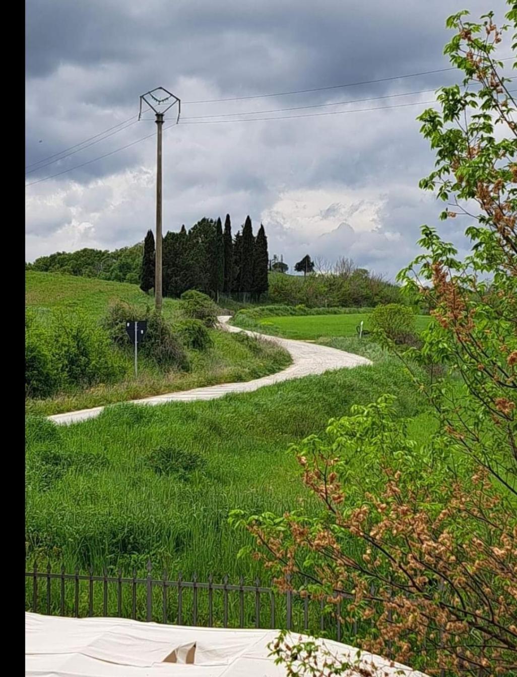 Affittacamere Alba Fiorita กัสตีลีโยเน ดิ ออร์ชา ภายนอก รูปภาพ