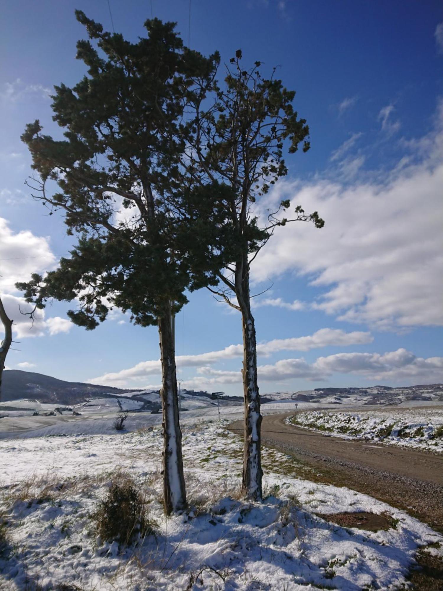 Affittacamere Alba Fiorita กัสตีลีโยเน ดิ ออร์ชา ภายนอก รูปภาพ