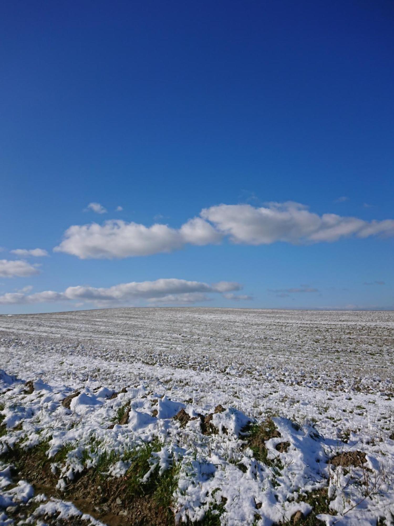 Affittacamere Alba Fiorita กัสตีลีโยเน ดิ ออร์ชา ภายนอก รูปภาพ